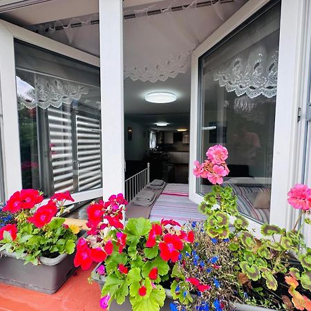 Apartament Bukowy Kłodzko Εξωτερικό φωτογραφία