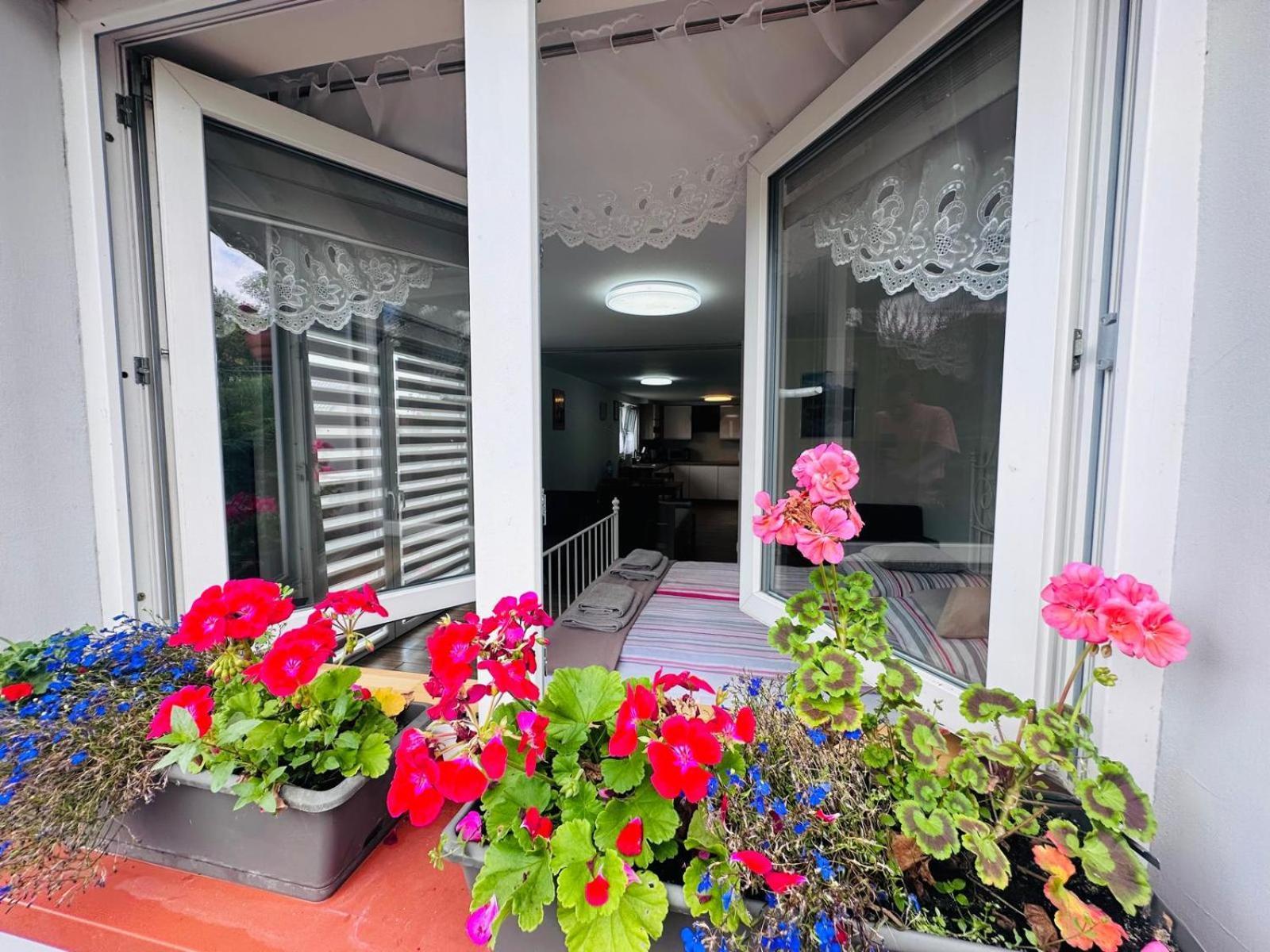 Apartament Bukowy Kłodzko Εξωτερικό φωτογραφία